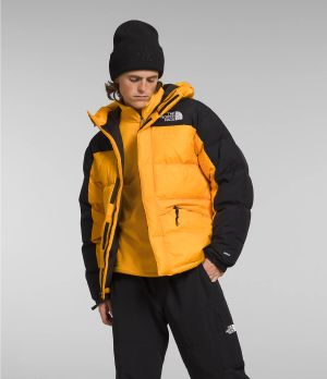 North Face Miesten Untuvatakki, MEN'S HMLYN DOWN PARKA Keltainen