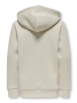 Only and Sons junior college, OSJCERES HOODIE Beige