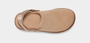 UGG Naisten Kengät, W Goldenstar Clog Hiekka